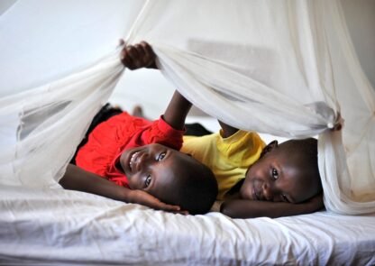 Mosquito Nets: Do’s and Don’ts