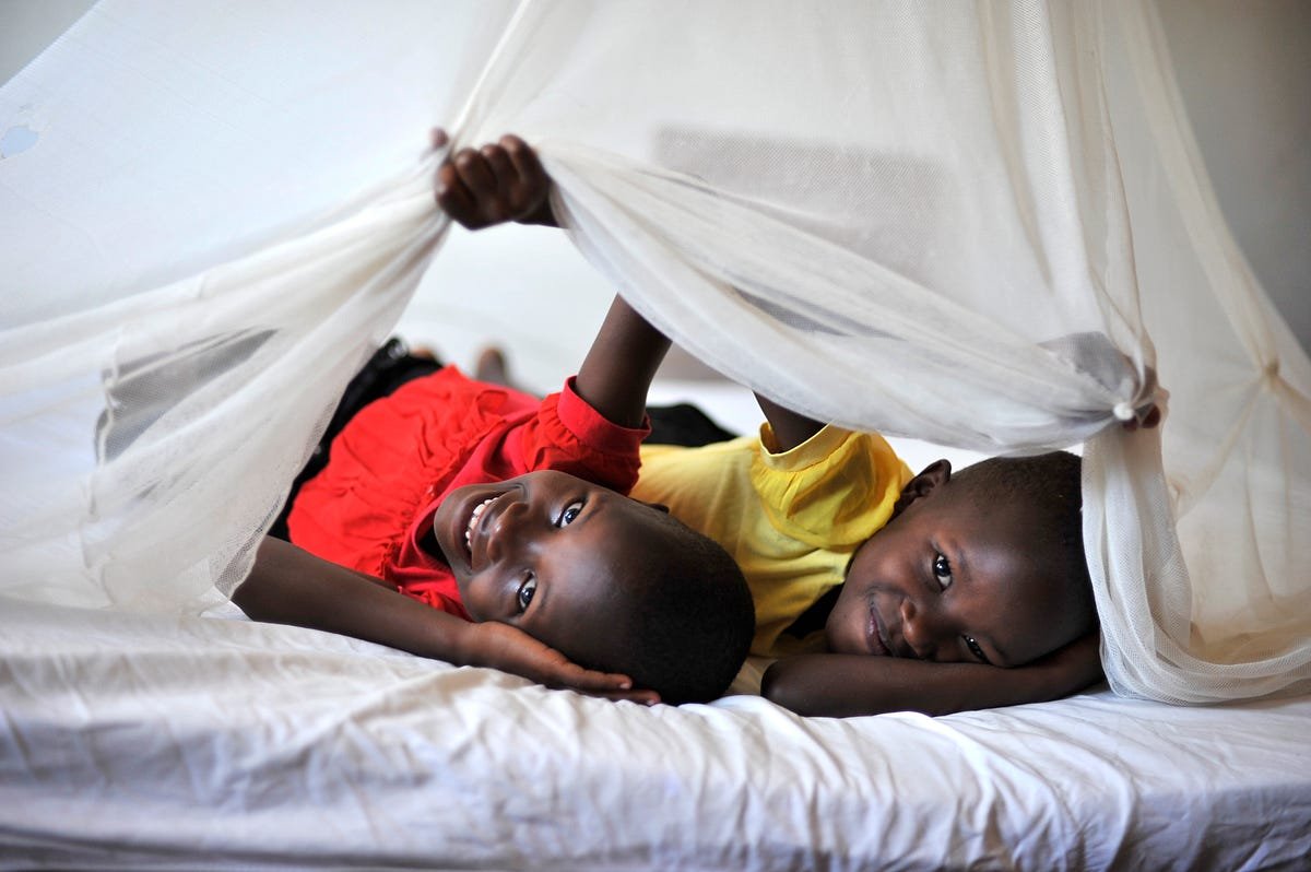 Mosquito Nets: Do’s and Don’ts