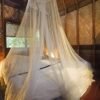 Mosquito Net vs Chemical Repellents